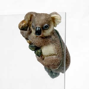 Koala Bear FTO2
