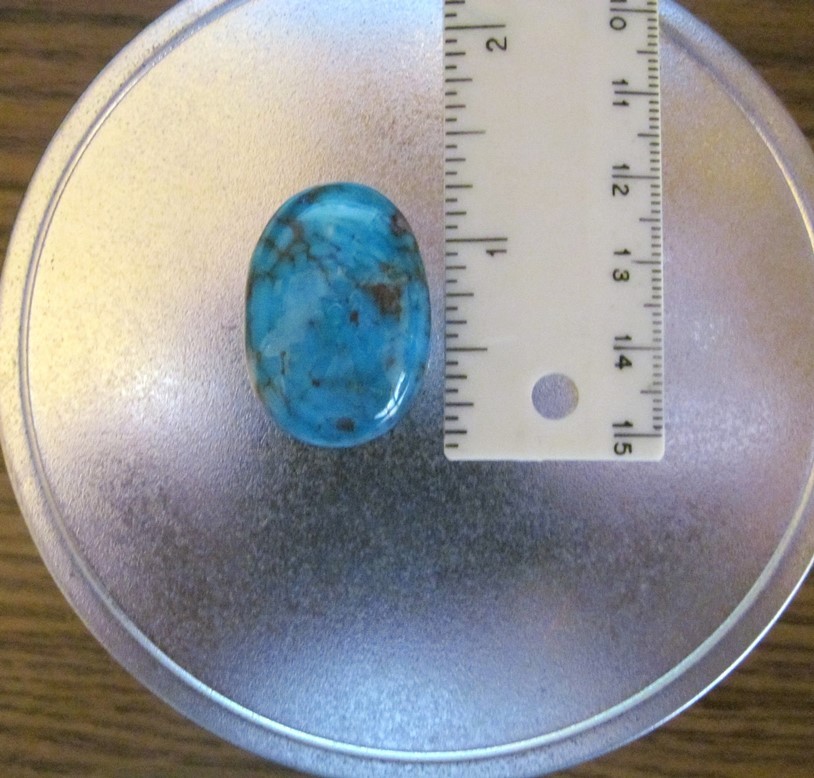 Bisbee Turquoise Stone BTS2