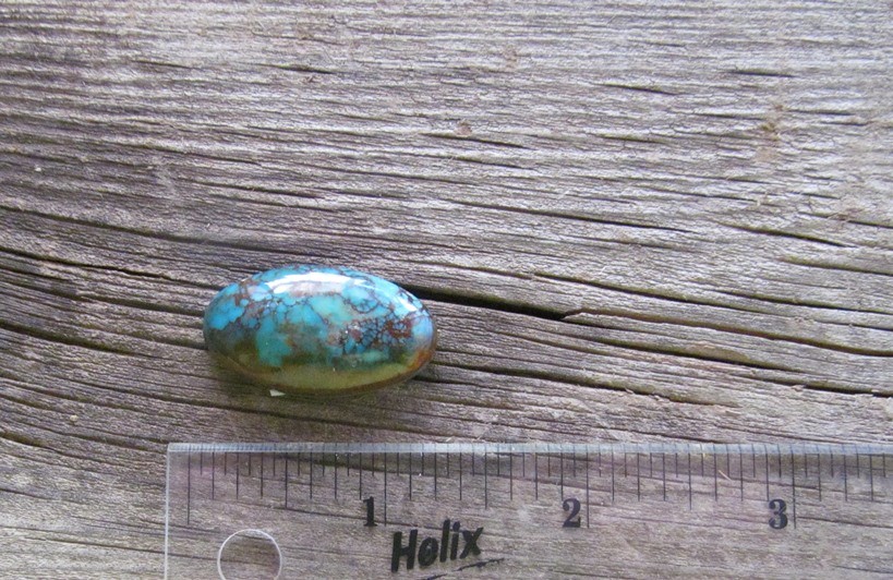 Bisbee Turquoise Stone BTS16
