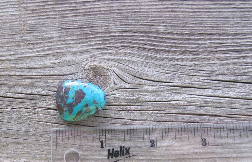 Bisbee Turquoise Stone BTS23