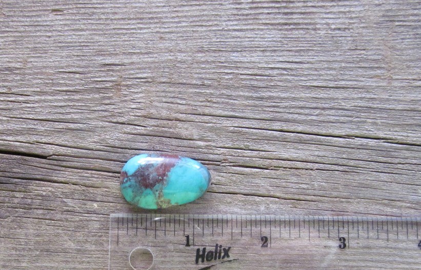 Bisbee Turquoise Stone BTS26