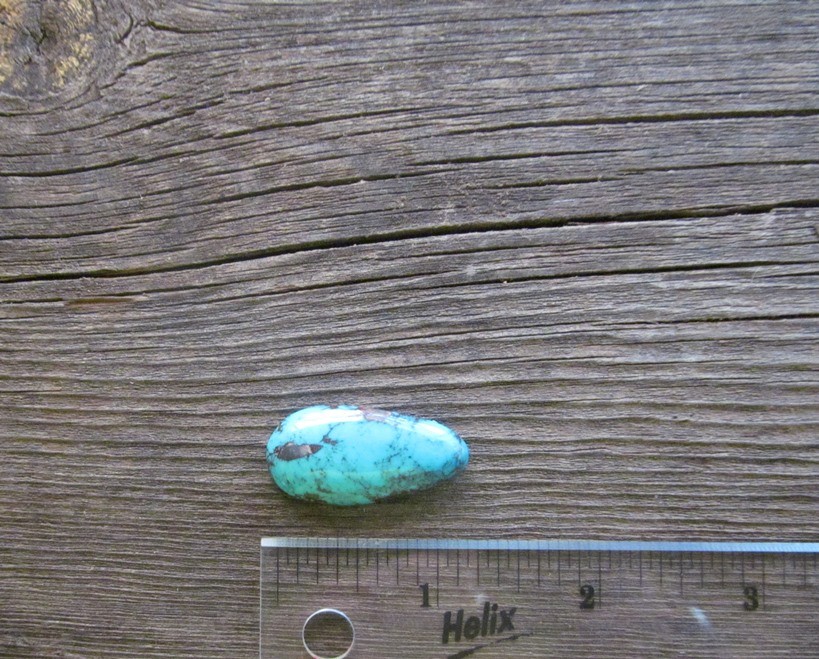 Bisbee Turquoise Stone BTS28