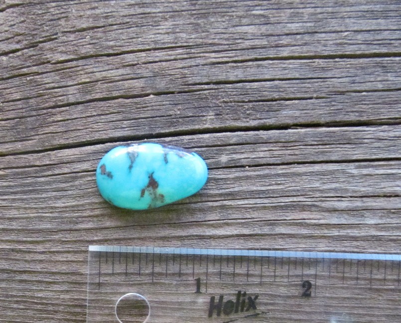 Bisbee Turquoise Stone BTS29