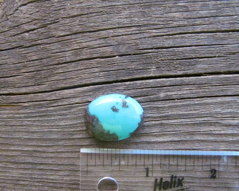 Bisbee Turquoise Stone BTS30