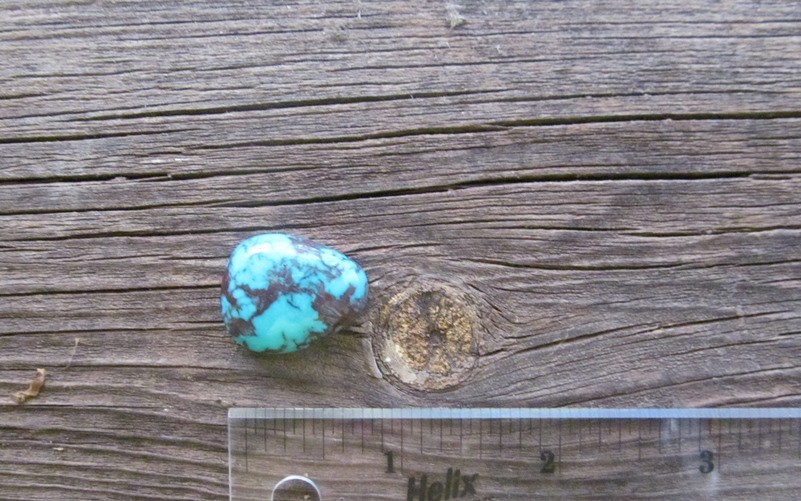 Bisbee Turquoise Stone BTS33