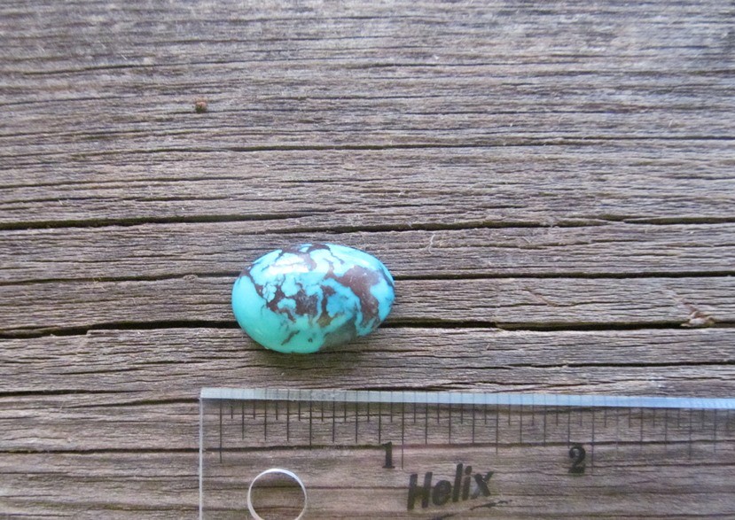 Bisbee Turquoise Stone BTS36