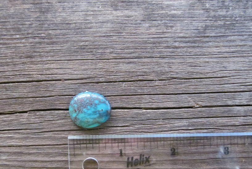 Bisbee Turquoise Stone BTS38