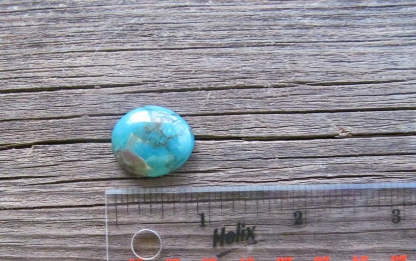 Bisbee Turquoise Stone BTS41
