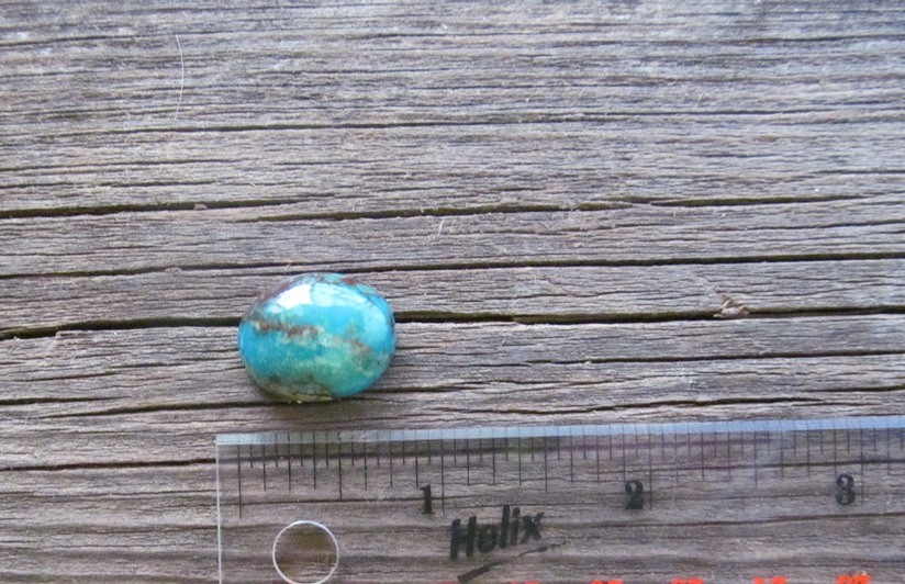 Bisbee Turquoise Stone BTS43