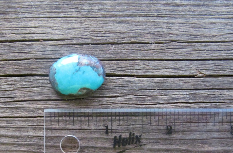 Bisbee Turquoise Stone BTS45