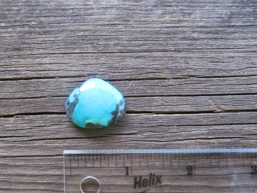 Bisbee Turquoise Stone BTS46