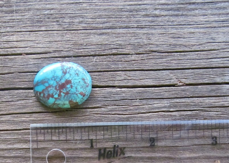 Bisbee Turquoise Stone BTS47