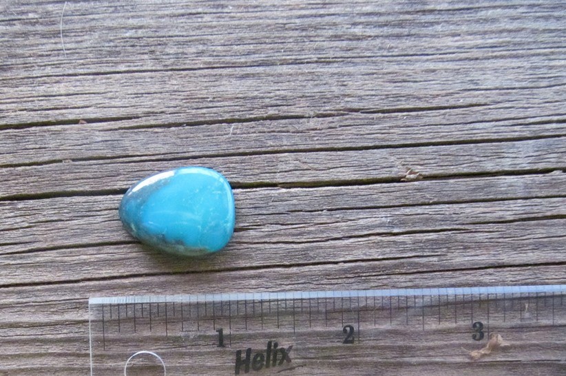 Bisbee Turquoise Stone BTS49