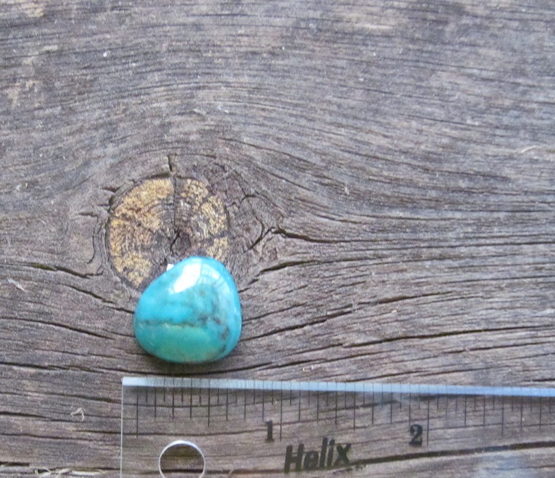 Bisbee Turquoise Stone BTS52