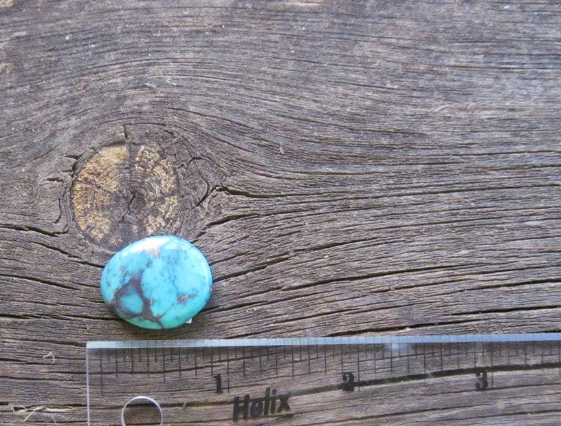 Bisbee Turquoise Stone BTS54