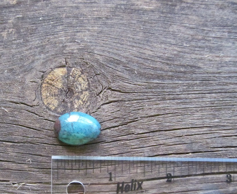 Bisbee Turquoise Stone BTS55
