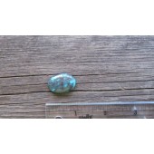 Bisbee Turquoise Stone BTS37