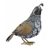 RMQ- Male Quail